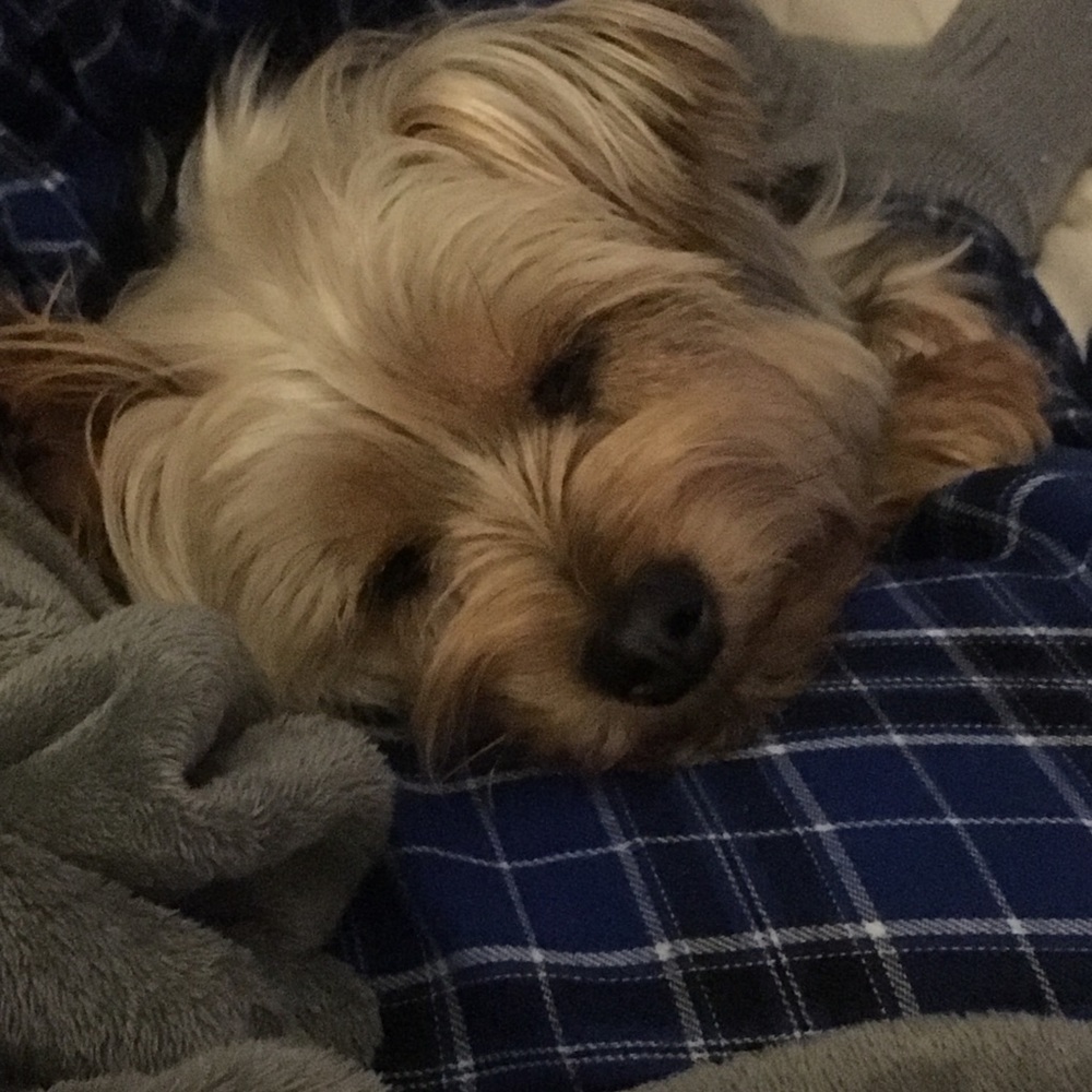 Meet your Posher, Jennifer